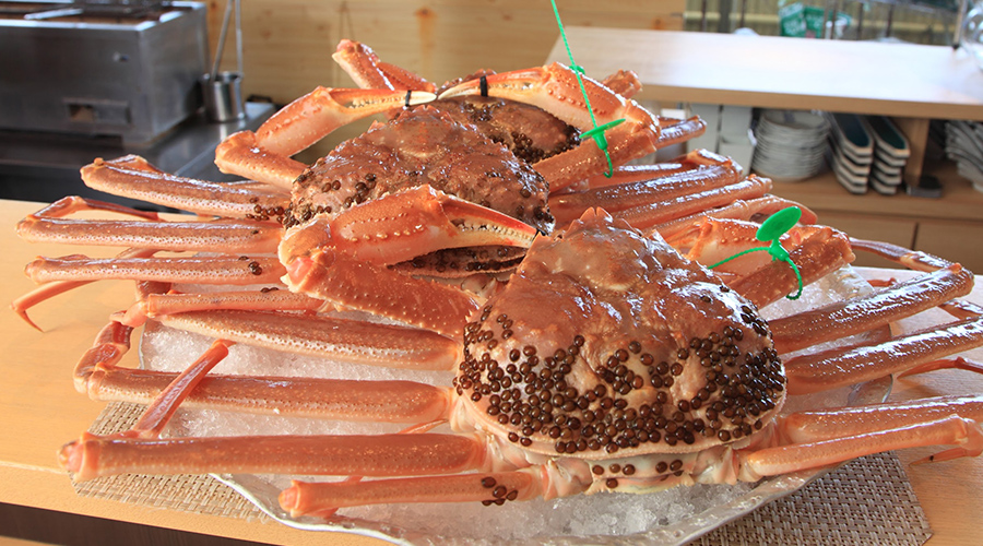 Live crab, an image of the Crab Marche Plan